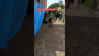 Kolkata catching blind dog and treatment for shelter difficult catching karon dog ta pregnant [upl. by Yeslrahc]