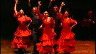 Emociones Flamencas Ballet Español Julia Grecos [upl. by Aiken]