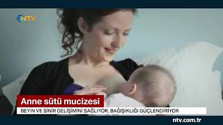 İlk 6 ay anne sütü şart Emzirme dönemi ne zaman bitirilmeli [upl. by Rapsac]