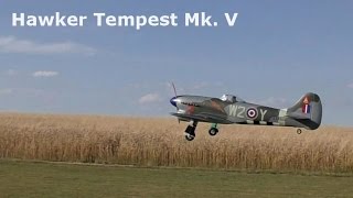 Hawker Tempest Mk V giant scale electric powered RC airplane 2016 [upl. by Noivert]