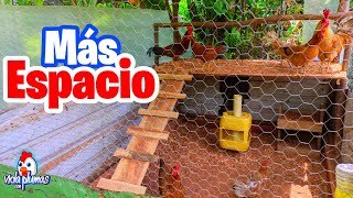 Como Tener Mas Espacio en el Gallinero 😱 Hacemos un segundo piso en el gallinero INCREIBLE [upl. by Aziaf]