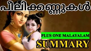 പീലിക്കണ്ണുകൾ  PLUS ONE MALAYALAM PEELIKANNUKAL  PLUS LEARN [upl. by Velleman63]