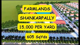 FARMLANDS  SHANKARPALLI  15000 PER SqYd  605 SqYdS  TRIPURA FARMS  111 GO  HYDERABAD [upl. by Zubkoff]