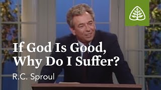 If God Is Good Why Do I Suffer The Classic Collection with RC Sproul [upl. by Silvana]