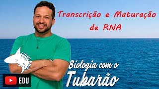 Transcrição Gênica e Maturação ou Splicing de RNA [upl. by Barr]