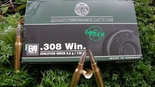 RWS 308 Win Evolution Green [upl. by Vincents]