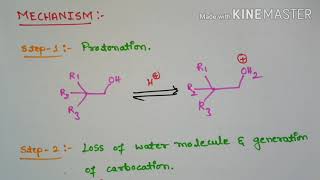 Wagner Meerwein Rearrangement [upl. by Dar340]