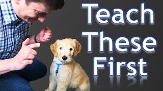 3 Easy Things to Teach your NEW PUPPY [upl. by Enoitna814]