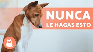 12 COSAS que NO DEBES hacer con TU PERRO🐶 [upl. by Leela]