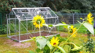 Gewächshaus bauen befüllen und bepflanzen  Gewächshaus aus Glas  Gewächshaus einrichten  GWH [upl. by Gargan807]