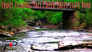 Trout Fishing Fall Creek Falls State Park [upl. by Apul231]