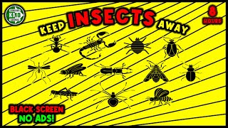 ANTI INSECTS REPELLENT SOUND ⛔🦟 KEEP INSECTS AWAY  ULTRASONIC SOUND [upl. by Dlareme]