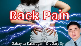 Back Pain  Dr Gary Sy [upl. by Memberg]