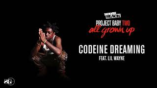 Kodak Black  Codeine Dreaming feat Lil Wayne Official Audio [upl. by Jarvey]