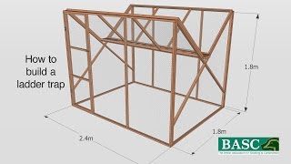 How to Build a Ladder Trap [upl. by Regdirb]