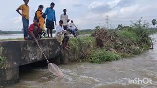 Fish catching in Near Penna River water [upl. by Apilef767]