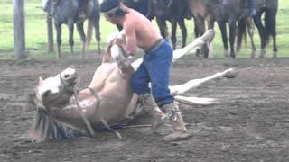 Horse Skills of the Gauchos of Argentina [upl. by Laurice]