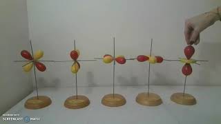 Types of Orbitals dorbitals [upl. by Rhoda]