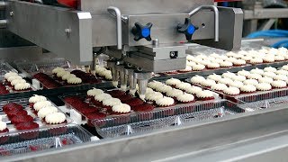 Extreme Fast Cake Production Process Modern Food Processing Machines Inside Factory [upl. by Etnom]