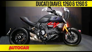 Ducati Diavel 1260 and 1260 S  Walkaround amp First Look  Autocar India [upl. by Marris]