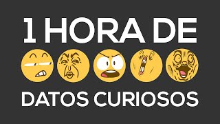 1 HORA DE DATOS CURIOSOS XPRESSTV [upl. by Aliet339]