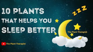 Ten Plants that helps you sleep better Part 2 [upl. by Inerney366]