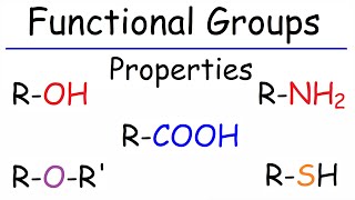 Properties of Functional Groups  Organic Chemistry [upl. by Cynara216]