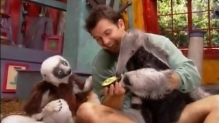 Zoboomafoo Cap 63 quotOsos Hormiguerosquot [upl. by Bautista983]