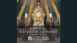 Perpetual 247 Eucharistic Adoration Prayer Mission [upl. by Aisset16]