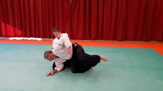 Suwari waza Ai hanmi katate dori Irimi nage [upl. by Narrad]