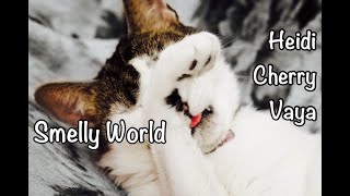 Fun Bedtime Story For Kids  Heidi Cherry amp Vaya  Smelly World [upl. by Nylicaj940]