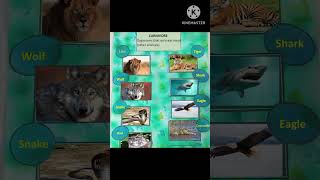 Animals feeding habit II herbivores II carnivores II Omnivores [upl. by Sharai]