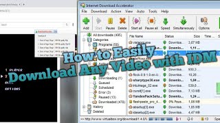 How to Easily Download Any Video with IDM A Complete Guide [upl. by Revlys885]