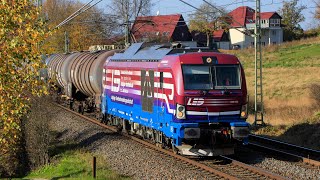 Züge in Jößnitz und in Zwickau Hbf [upl. by Strickman]