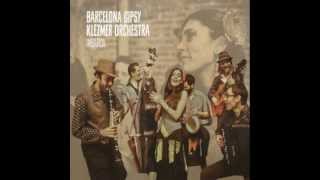 Barcelona Gypsy Klezmer Orchestra  Ederlezi Studio [upl. by Hana]