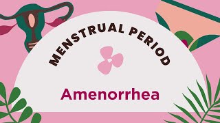 Amenorrhea Causes Symptoms and Treatment Explained  HeInfo Channel [upl. by Landahl401]