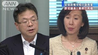 総理官邸No3世耕官房副長官、野党議員と異例の再婚（130911） [upl. by Llehcam]