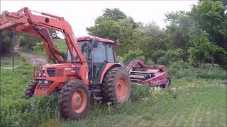 Cutting Alfalfa with our International 1490 Haybine [upl. by Bacchus]