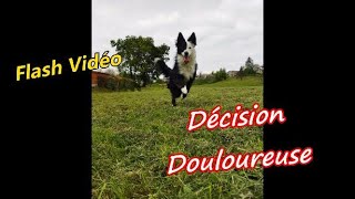 Flash Vidéo  Douloureuse Décision [upl. by Aveline]