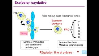 immunité antibactérinne et antiparasitaires partie 1 [upl. by Ennirac]