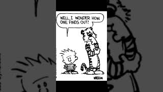 63 Calvin and Hobbes [upl. by Ariaj]