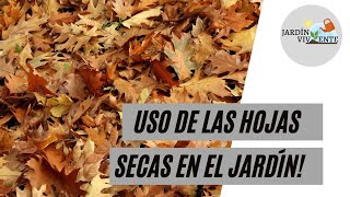 Uso de las hojas secas en el jardín [upl. by Fleur]