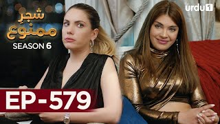 ShajareMamnu  Episode 579  Turkish Drama Forbidden Fruit  Urdu Dubbing  15 August 2023 [upl. by Llerrud640]