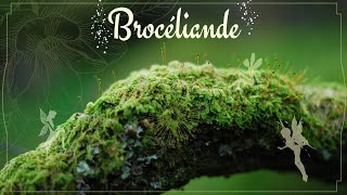 Ma visite de Brocéliande  Présentation de lieux magiques [upl. by Akiam213]