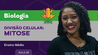 Divisão celular mitose  Biologia  Ensino Médio [upl. by Ibur425]