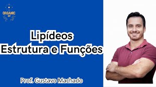 Lipídios  Estrutura e Funções OrganicBio [upl. by Bucher]