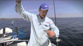 How to Catching baitfish on Sabiki rigs [upl. by Endora]