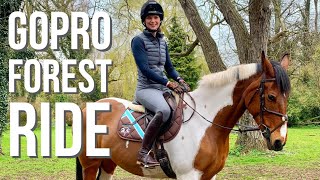 FOREST RIDE WITH THE NEW HORSE  GoPro Cantering  Footluce Eventing [upl. by Eramat]