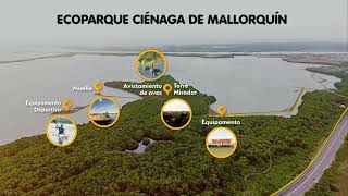 Conoce el proyecto con el que Barranquilla recuperará la Ciénaga de Mallorquín [upl. by Airahcaz539]