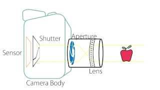 Camera Basics  Anatomy of a Camera [upl. by Aihsiek]